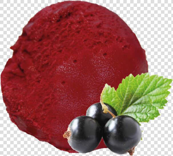 Blackcurrant  HD Png DownloadTransparent PNG