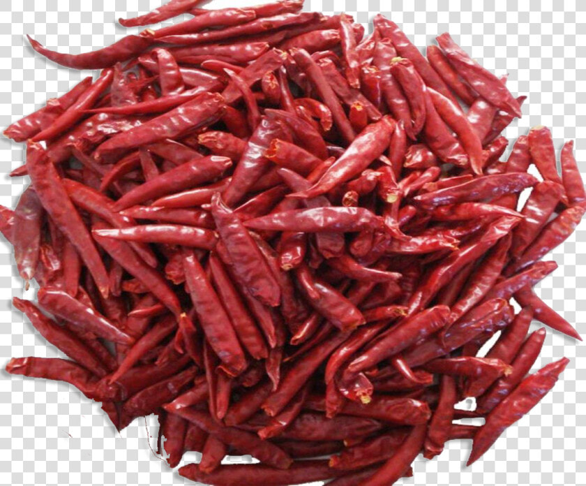 Dry Red Chilli   Png Download   Mathania Red Chilli  Transparent PngTransparent PNG