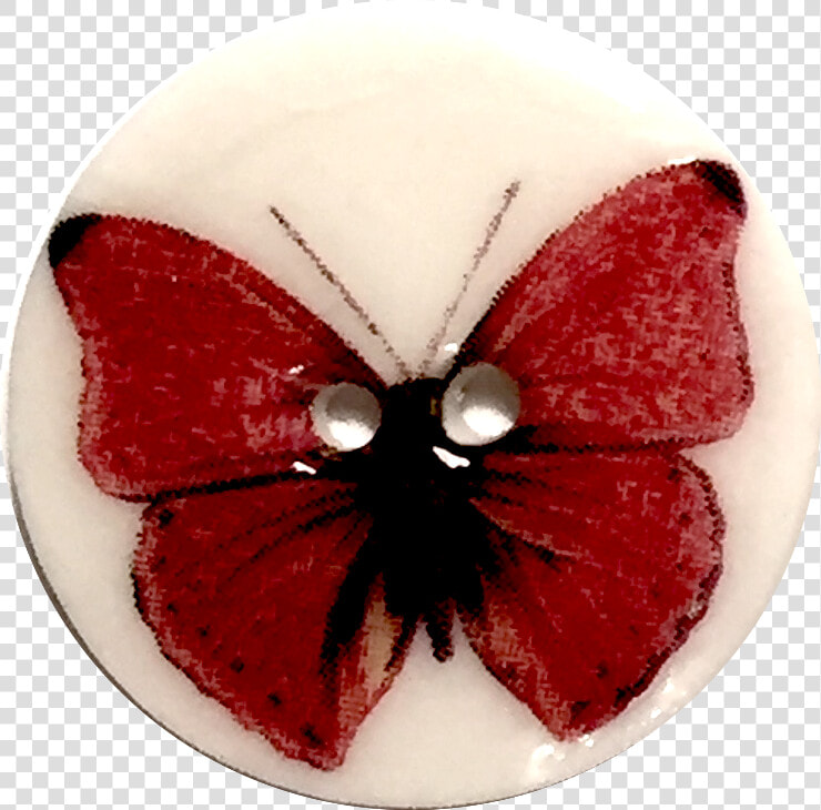 Red Butterfly Button  Porcelain  15 16  HD Png DownloadTransparent PNG