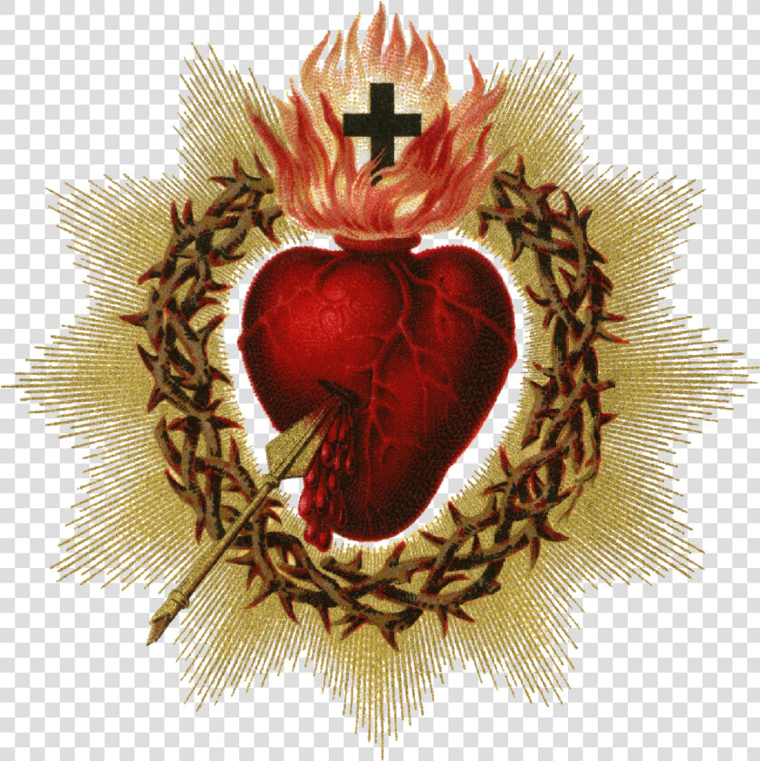 Sacred Heart Of Jesus Png  Transparent PngTransparent PNG