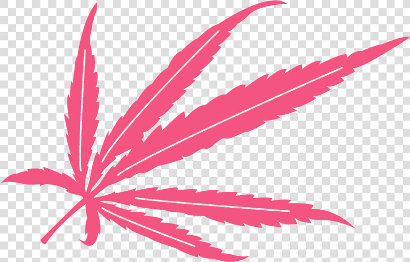 Hoja De Marihuana En Vector  HD Png DownloadTransparent PNG