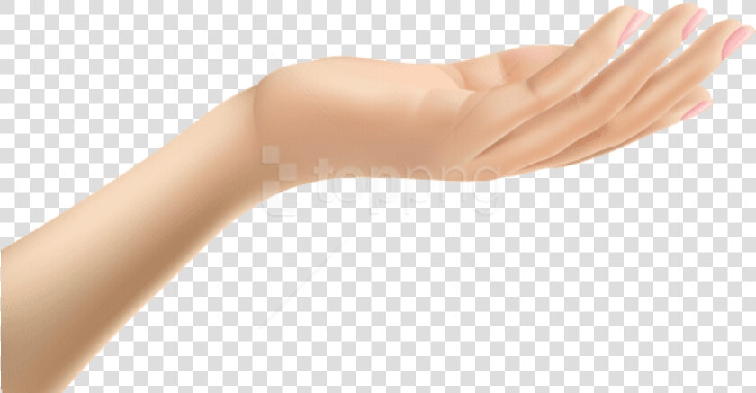 Download Female Hand   Clip Art Hands Transparent  HD Png DownloadTransparent PNG