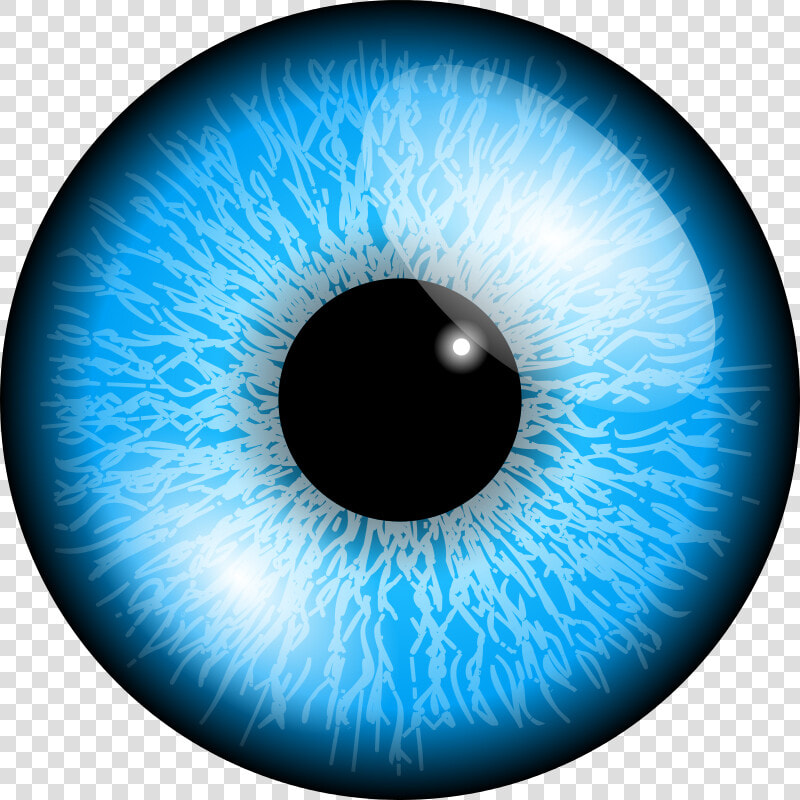 Clip Art Eyes Png   Blue Eye Lens Png  Transparent PngTransparent PNG