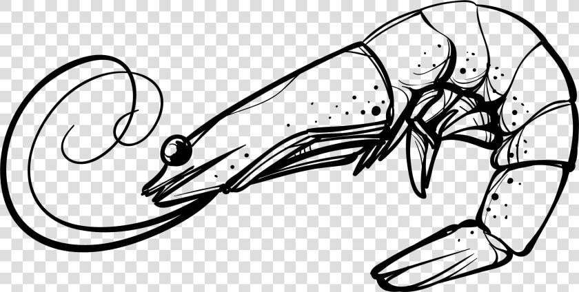 Clip Art Shrimp Vector   Shrimp Black And White Clip Art  HD Png DownloadTransparent PNG