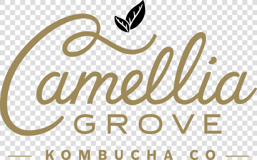 Camellia Grove Kombucha  HD Png DownloadTransparent PNG