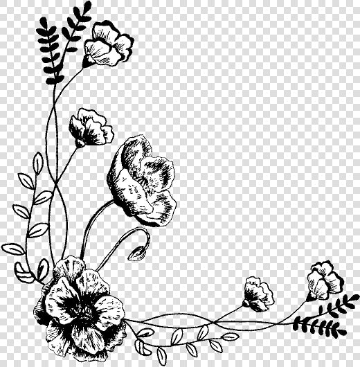 Floribunda  HD Png DownloadTransparent PNG