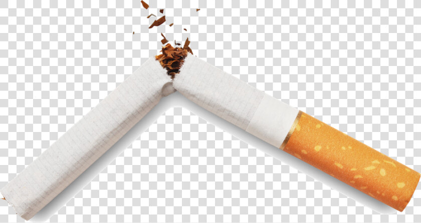 A Cigarrette Broken In Half   Transparent Broken Cigarette  HD Png DownloadTransparent PNG