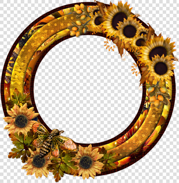 Tubes Cadres png   Circle  Transparent PngTransparent PNG