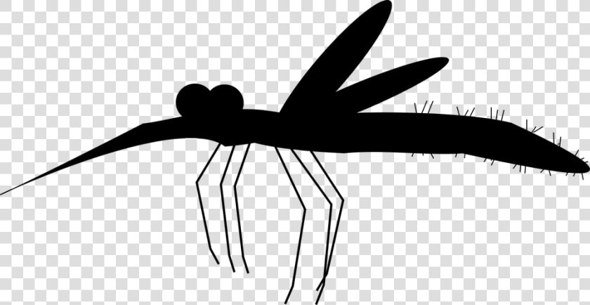 Mosquito  Like  Blood  Bloodsucker  Zika  Malaria   Mosquito  HD Png DownloadTransparent PNG