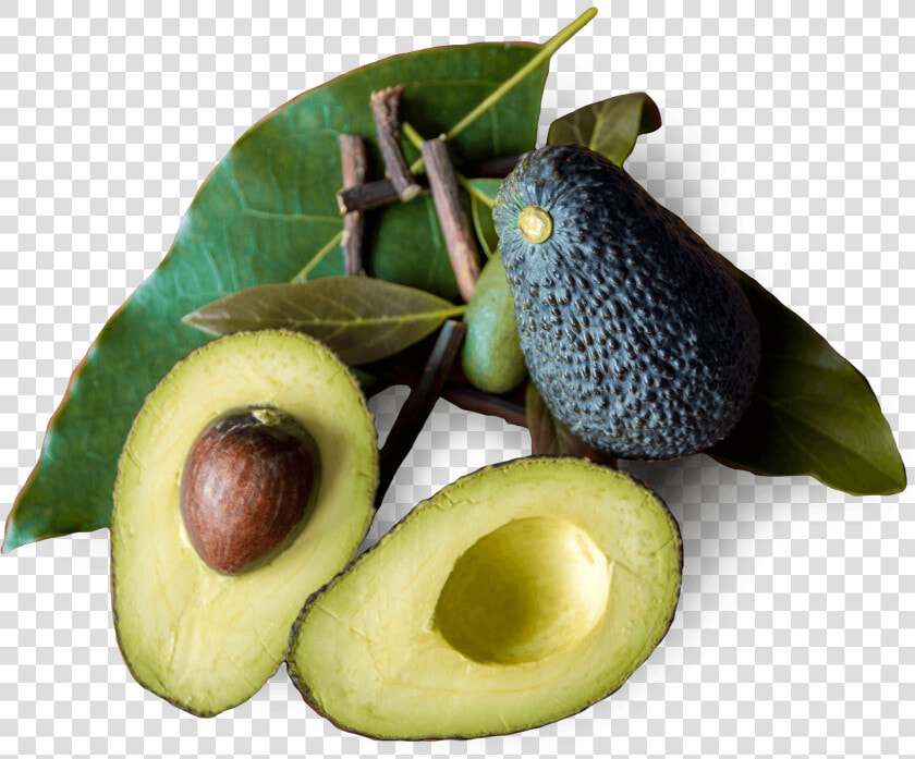 Tratamiento Natural Avocado   Avocado  HD Png DownloadTransparent PNG