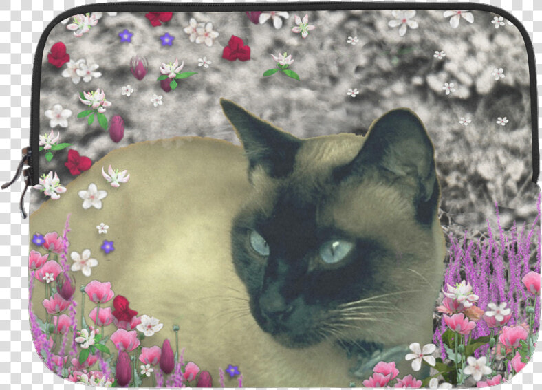 Stella In Flowers I Chocolate Cream Siamese Cat Microsoft  HD Png DownloadTransparent PNG