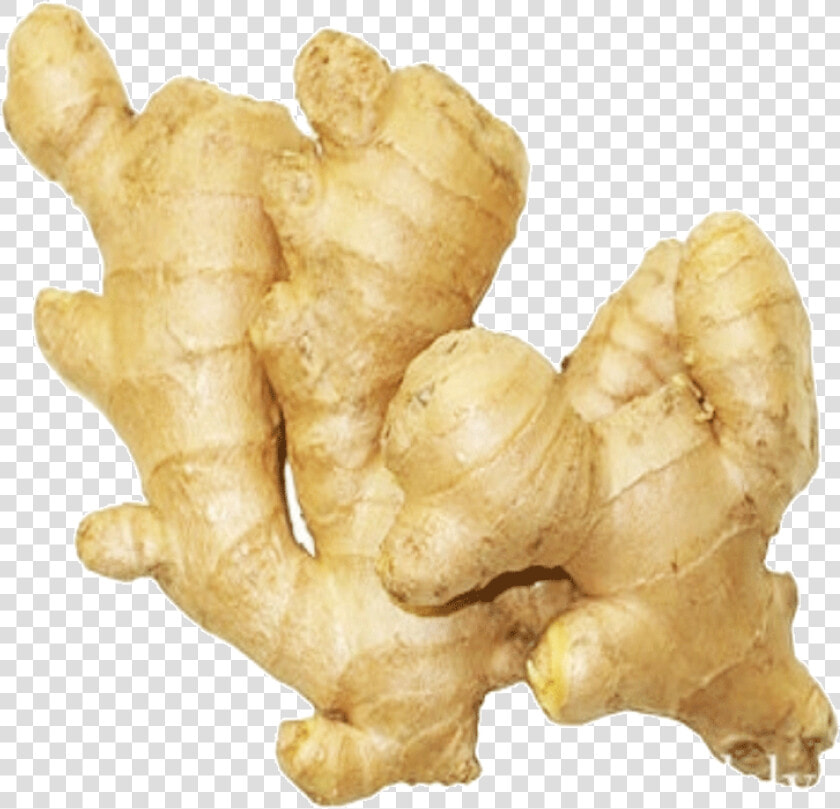 Ginger 1 Kg   Ginger Root  HD Png DownloadTransparent PNG