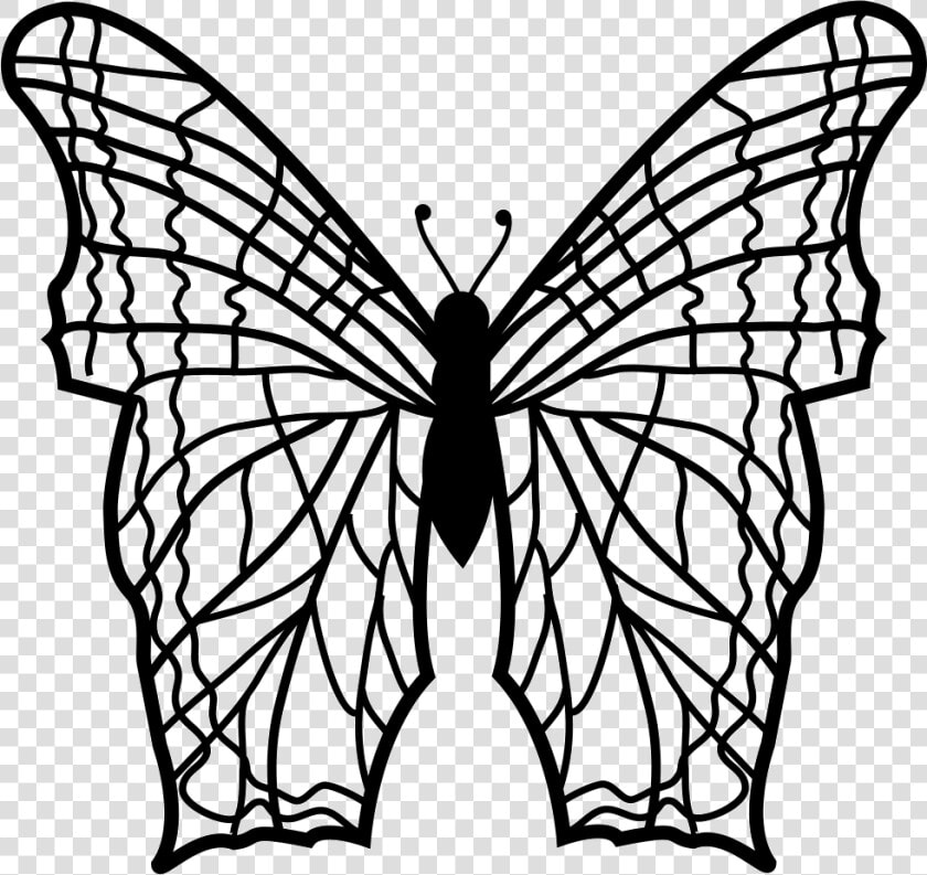 Butterfly With Complex Thin Lines Pattern Wings From  HD Png DownloadTransparent PNG