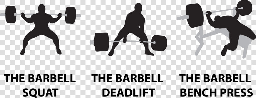 Squat Bench Deadlift Logo  HD Png DownloadTransparent PNG