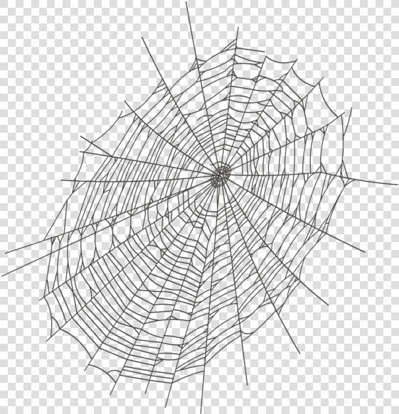 Halloween Large Spider Web Png Clipart Spider Web    Transparent Background Spiderweb Png  Png DownloadTransparent PNG