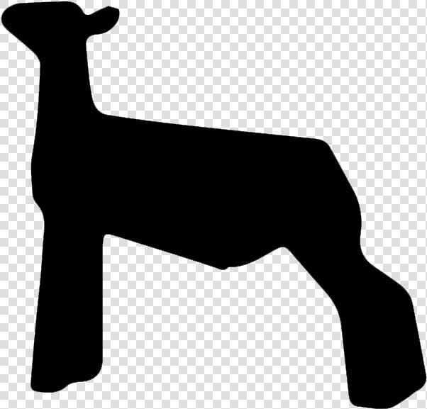 If You Found This Page By Searching For Show Lamb Clip   Show Lamb Svg  HD Png DownloadTransparent PNG