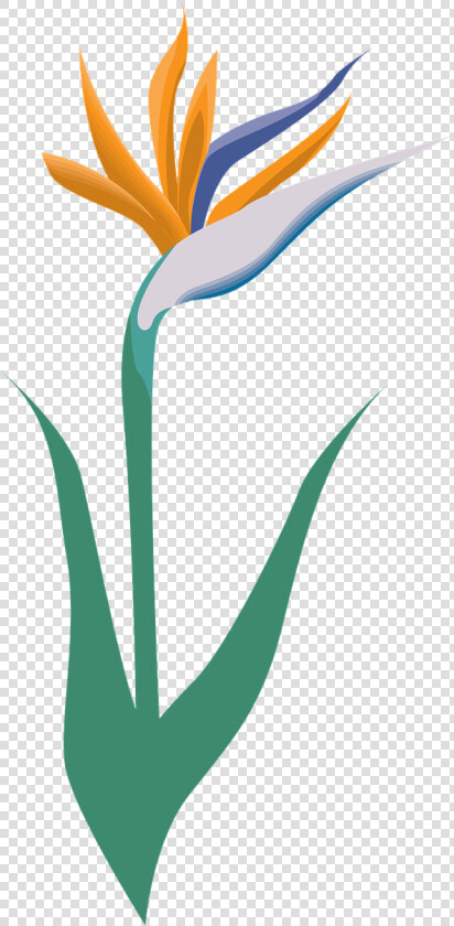 Garden  Flower  Icon  Symbol  Blossom  Logo   Vectorial Y Mapa De Bits  HD Png DownloadTransparent PNG