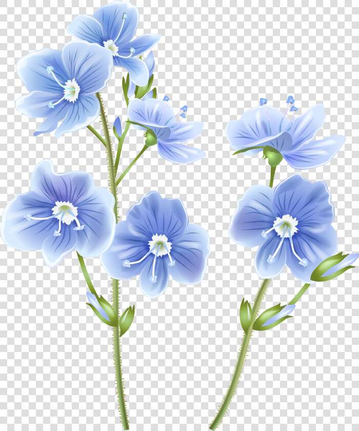 Wildflower Clipart Transparent Background   Wild Flower Png  Png DownloadTransparent PNG