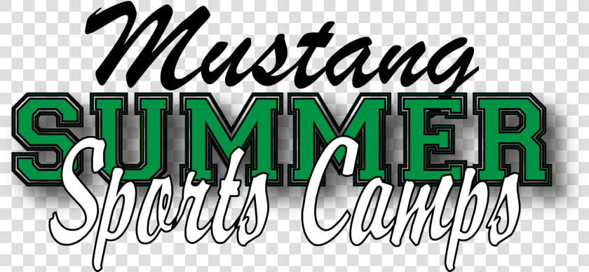 Sign Up Now For Summer Sports Camp At Mill Springs   Calligraphy  HD Png DownloadTransparent PNG