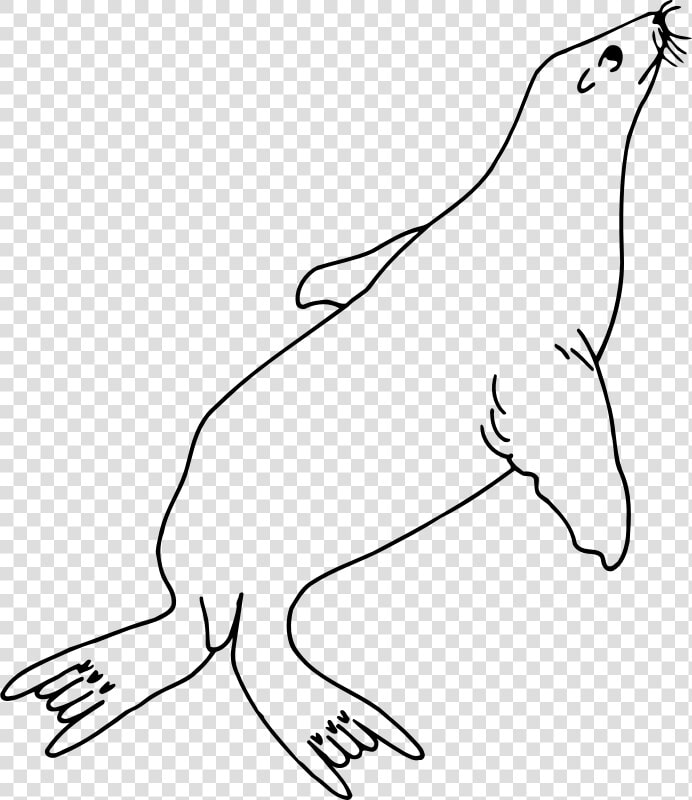 Art carnivoran hare   Sea Lion Clip Art Black And White  HD Png DownloadTransparent PNG