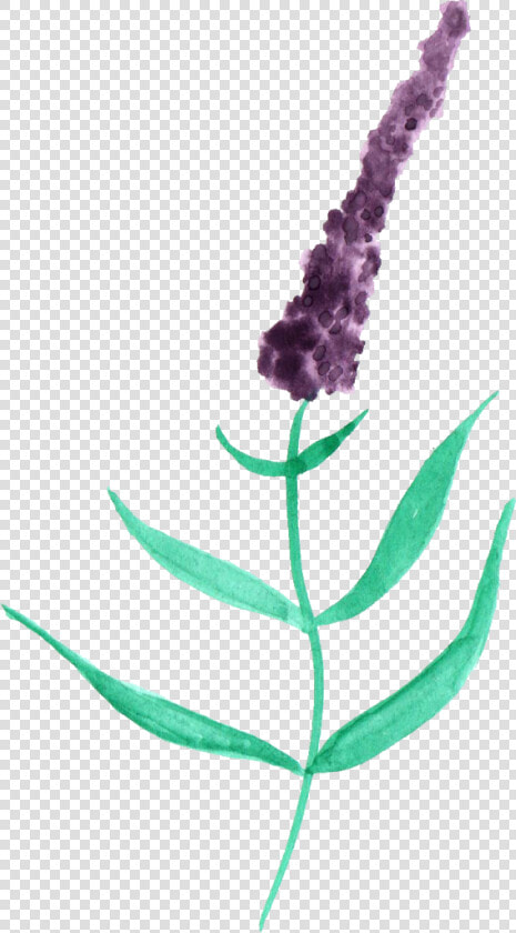 Watercolor Lavender Png Black And White   Watercolor Painting  Transparent PngTransparent PNG