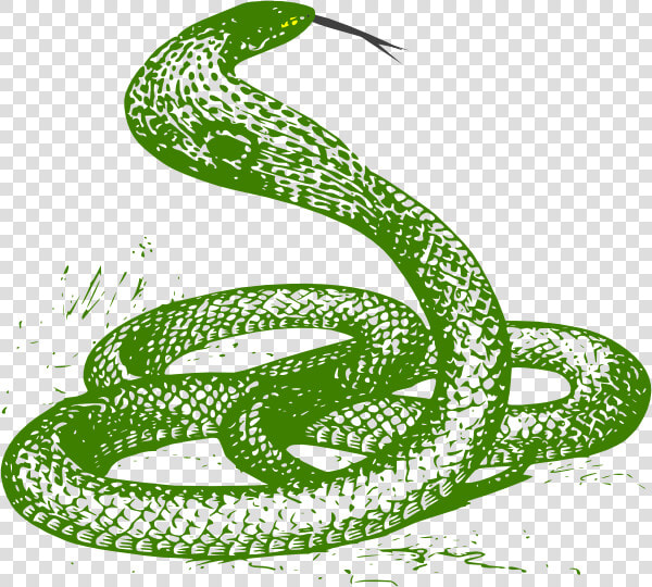 Green Snake Svg Clip Arts   Cobra Snake Drawing  HD Png DownloadTransparent PNG