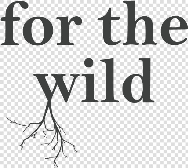 For The Wild Logo   Mohawk Flooring  HD Png DownloadTransparent PNG