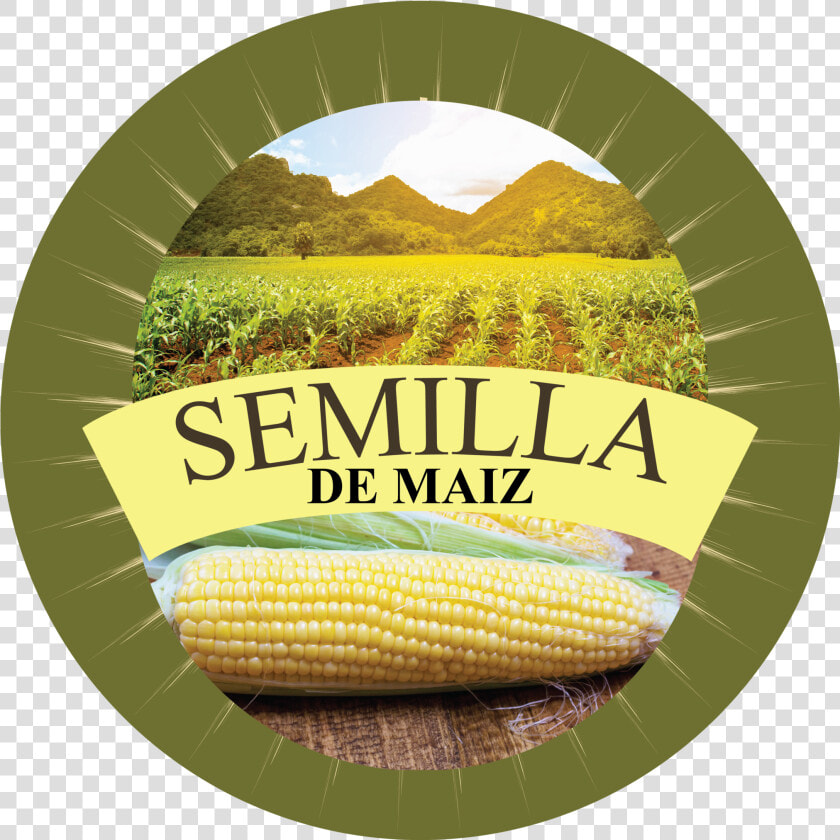 Null   Corn Kernels  HD Png DownloadTransparent PNG