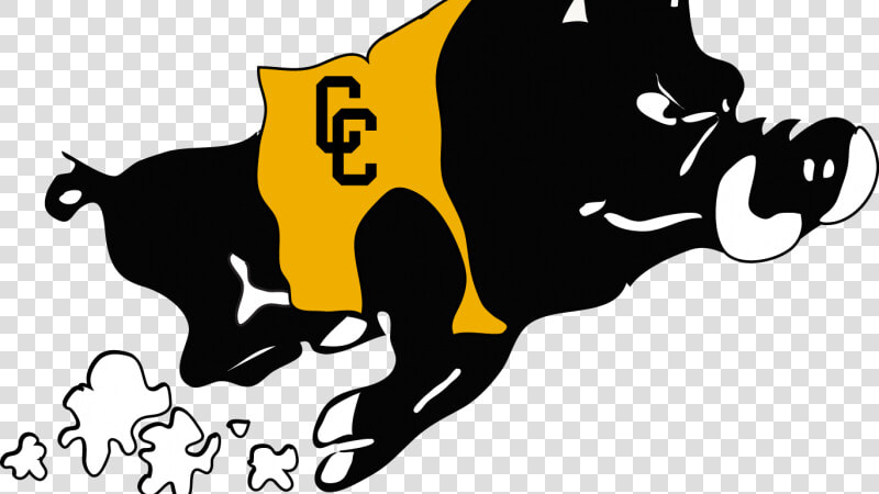 Colquitt County Packers Mascot  HD Png DownloadTransparent PNG