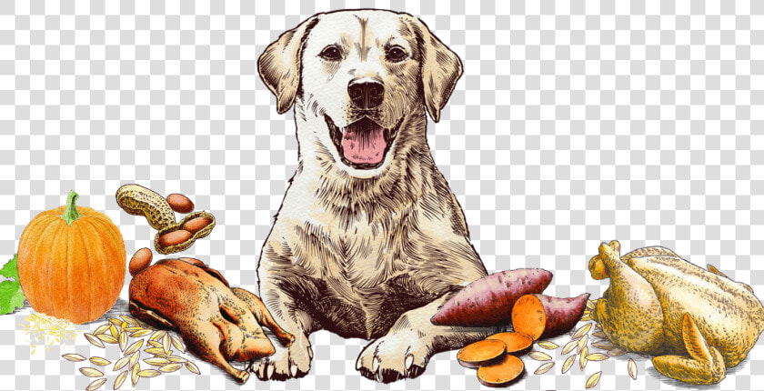 Blissful Biscuit Art   Dog Yawns  HD Png DownloadTransparent PNG