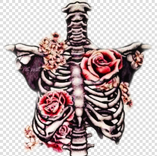  freetoedit  ribcage  bones  roses  beautifuldeath   Skeleton And Roses Drawing  HD Png DownloadTransparent PNG