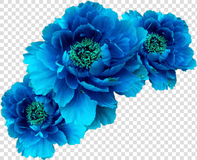  ftestickers  flowers  flowercrown  blue   Blue Flower Crown Png  Transparent PngTransparent PNG