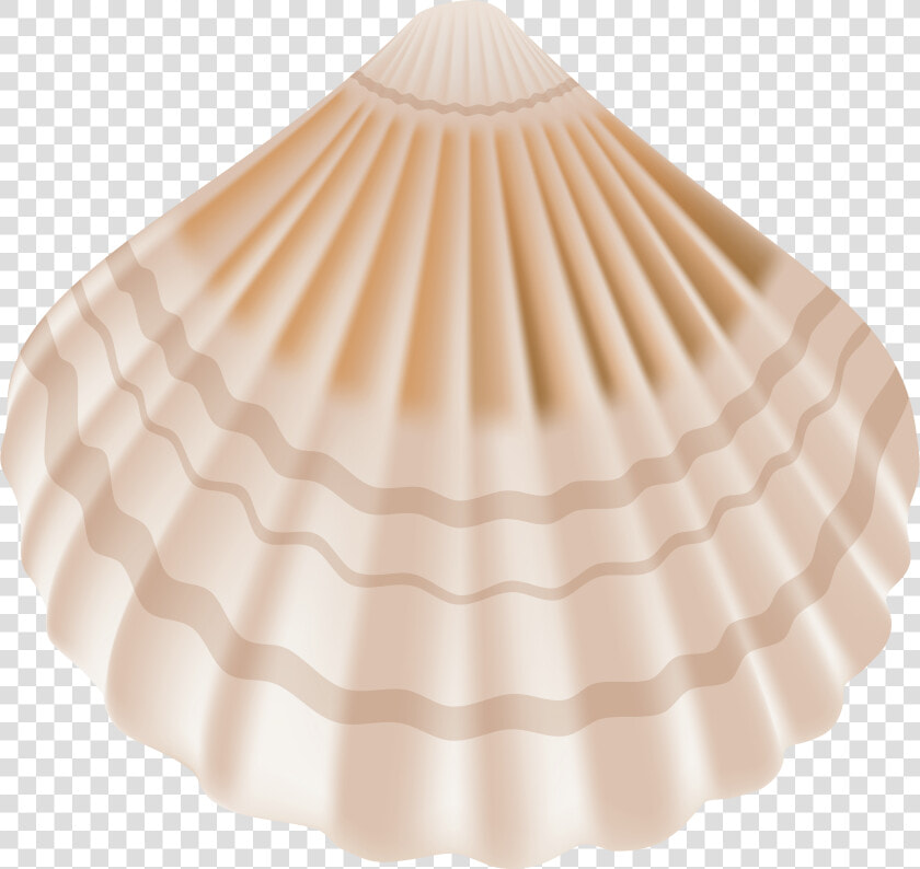 Seashell Png Clip Art   Transparent Background Clipart Transparent Seashells  Png DownloadTransparent PNG