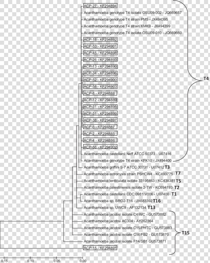 Document  HD Png DownloadTransparent PNG