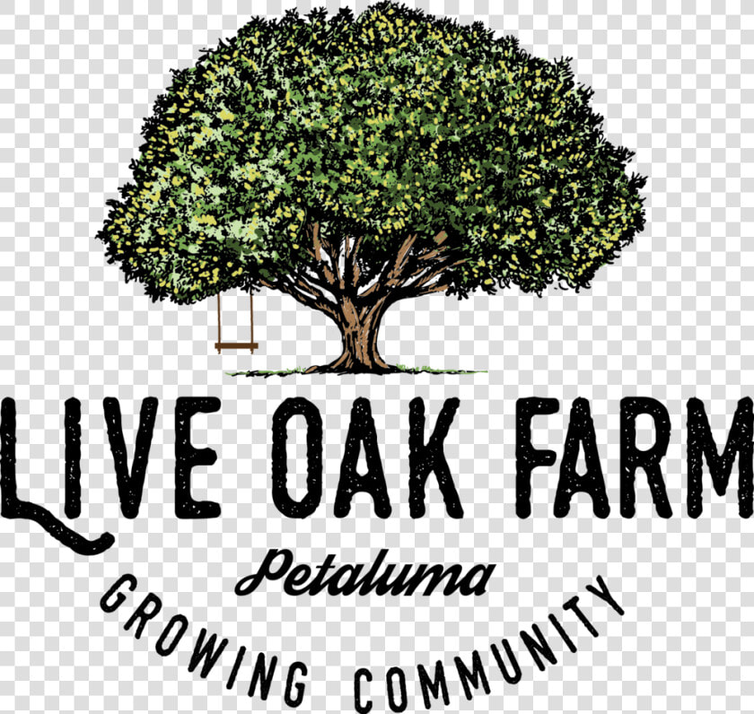 Live Oak Farm Growing Color   Text  HD Png DownloadTransparent PNG