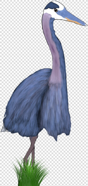 Great Blue Heron  HD Png DownloadTransparent PNG