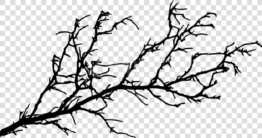 Tree Stem Png   Tree Branch Silhouette Png  Transparent PngTransparent PNG