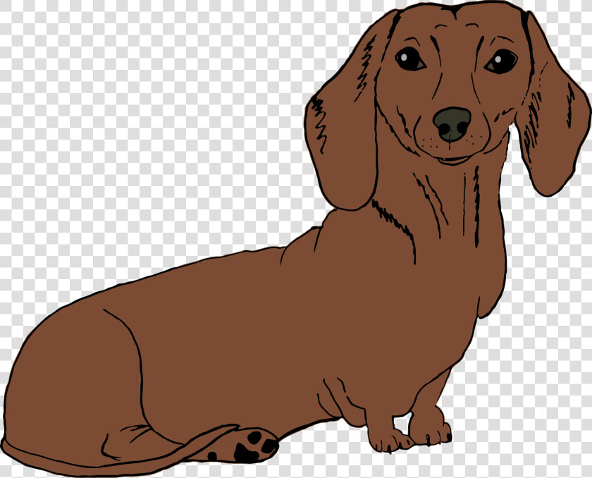 Dachshund Png   Brown Dachshund Cartoon  Transparent PngTransparent PNG