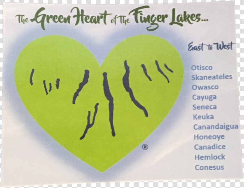 Green Heart Of The Finger Lakes Data Zoom   cdn   Heart  HD Png DownloadTransparent PNG