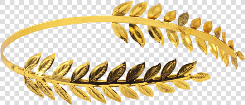 Brass Leaf Roman Hair Band   Roman Crown Png Transparent  Png DownloadTransparent PNG