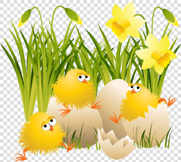 Easter Eggs In Grass Png For Kids   C Est Le Printemps Gif Animé  Transparent PngTransparent PNG