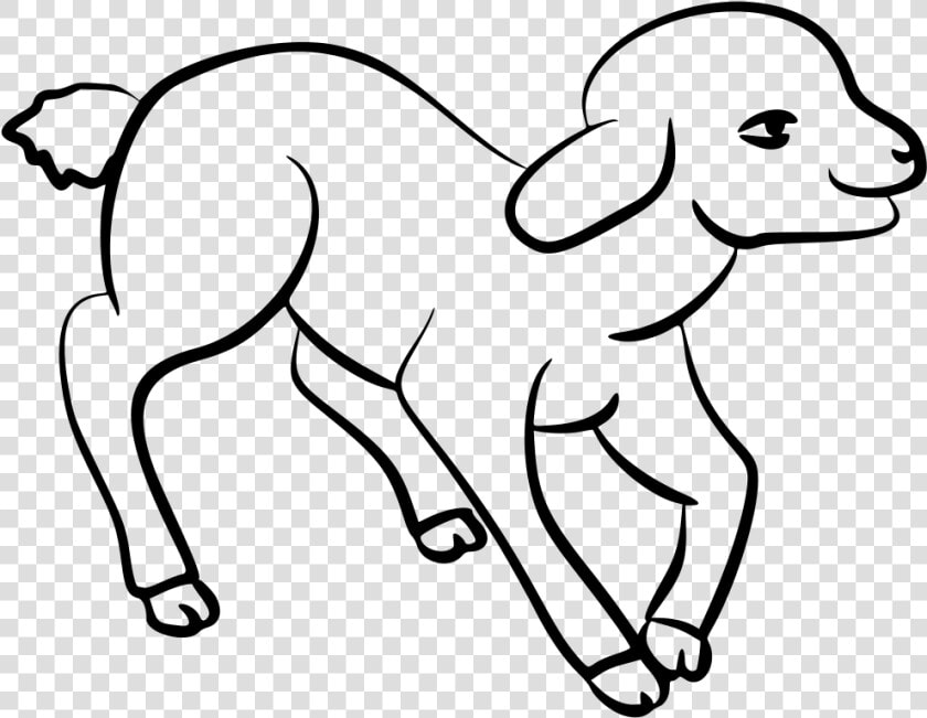 Lamb   Lamb Draw  HD Png DownloadTransparent PNG