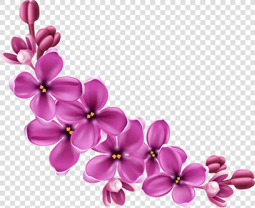 Flowers Purple Curve   Transparent Background Flowers Png  Png DownloadTransparent PNG