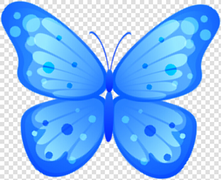 Butterfly Blue Png   Blue Butterfly Clip Art  Transparent PngTransparent PNG