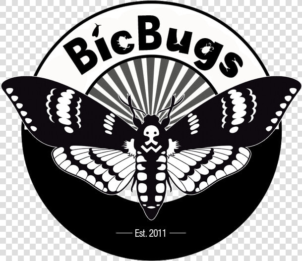 Bicbugs   Deaths Head Moth Logo  HD Png DownloadTransparent PNG