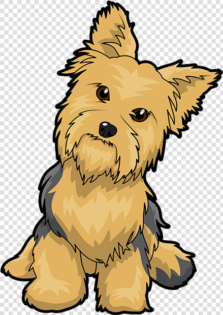 Yorkshire Terrier Puppy Maltese Dog English Toy Terrier   Yorkshire Terrier Graphic Cute  HD Png DownloadTransparent PNG