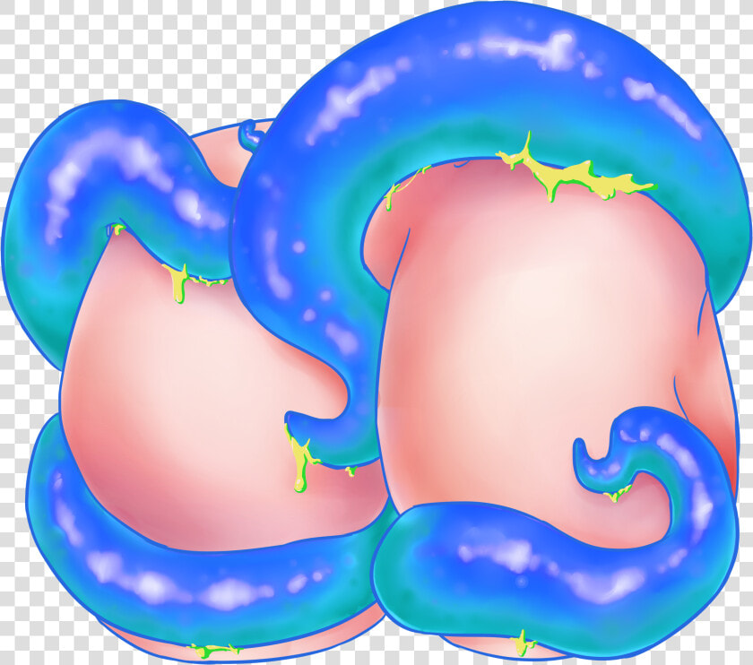   pre order   Tentacle Butt Charms • Wishes Come True  HD Png DownloadTransparent PNG