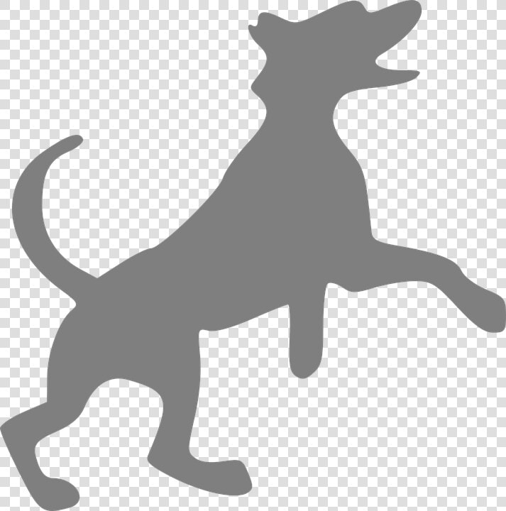 Dog  Grey  Canine  Happy  Jumping   Do We Hear Sound  HD Png DownloadTransparent PNG