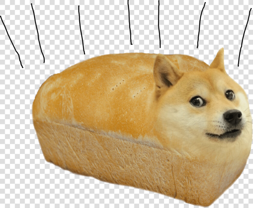 Transparent Arrow Keys Png   Doggo Memes Shiba Inu  Png DownloadTransparent PNG