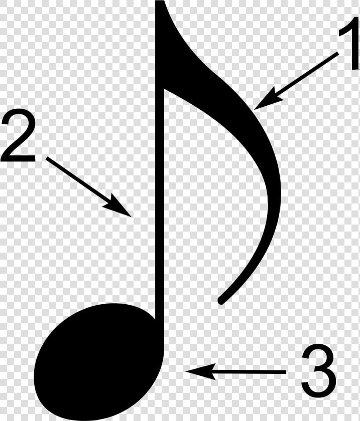 The Three Parts Of A Music Note Are The Head  The Stem    Parts Of The Note  HD Png DownloadTransparent PNG